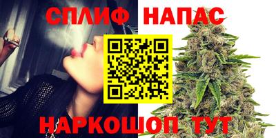 прущие грибы Первоуральск