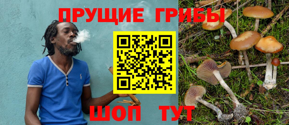 Галлюциногенные грибы Psilocybine cubensis  Псилоцибиновые грибы мухоморы  Сарапул  Вход с VPN 
